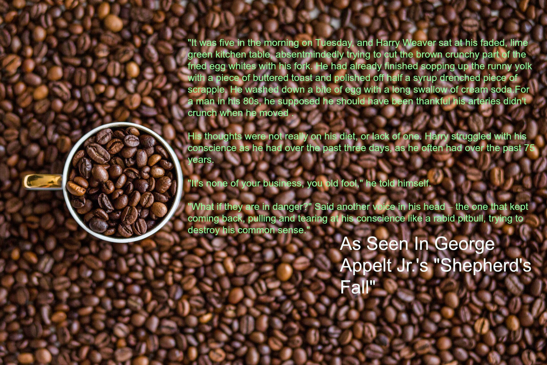 The Wise Bean Free WiFi With A View / Philadelphia Attractions